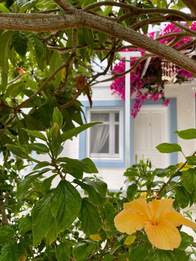 Seaside Studios Arkasa Karpathos Exterior photo