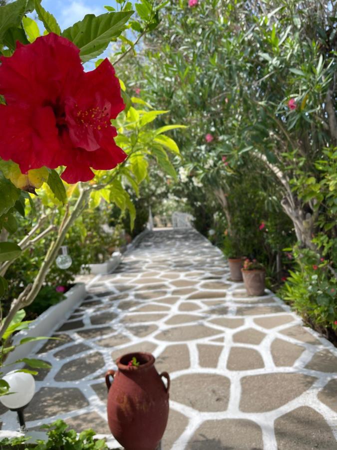 Seaside Studios Arkasa Karpathos Exterior photo